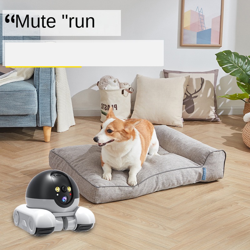 Nova Câmera de Segurança IP PT - Home Security Robots avaliação e preço